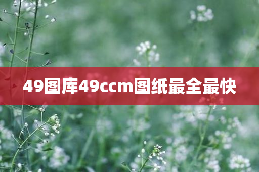 chenweixia 第26页