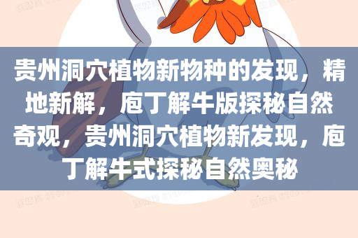 xinyu 第27页