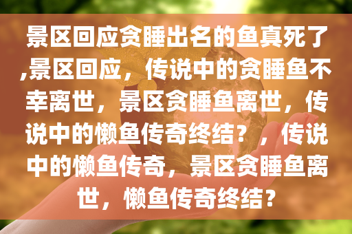 景区回应贪睡出名的鱼真死了,景区回应，传说中的贪睡鱼不幸离世，景区贪睡鱼离世，传说中的懒鱼传奇终结？，传说中的懒鱼传奇，景区贪睡鱼离世，懒鱼传奇终结？