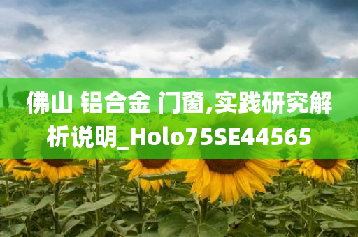 佛山 铝合金 门窗,实践研究解析说明_Holo75SE44565