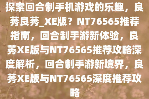探索回合制手机游戏的乐趣，良莠良莠_XE版？NT76565推荐指南，回合制手游新体验，良莠XE版与NT76565推荐攻略深度解析，回合制手游新境界，良莠XE版与NT76565深度推荐攻略