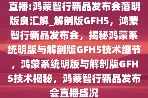 新品发布会