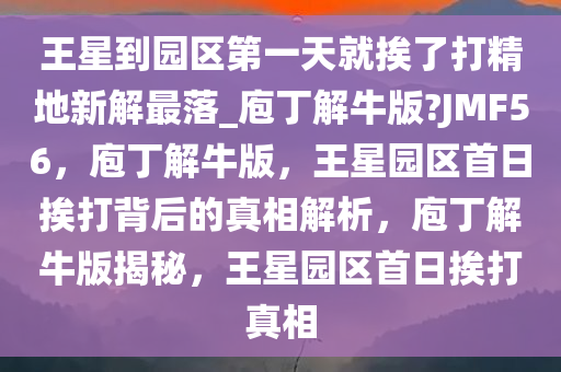 yangyuting 第21页