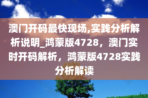 澳门开码最快现场,实践分析解析说明_鸿蒙版4728，澳门实时开码解析，鸿蒙版4728实践分析解读