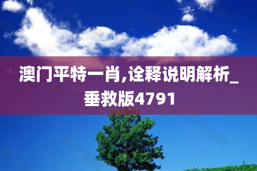 澳门平特一肖,诠释说明解析_垂救版4791