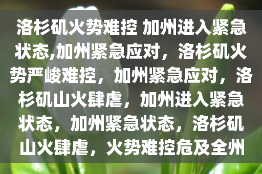 洛杉矶火势难控 加州进入紧急状态,加州紧急应对，洛杉矶火势严峻难控，加州紧急应对，洛杉矶山火肆虐，加州进入紧急状态，加州紧急状态，洛杉矶山火肆虐，火势难控危及全州