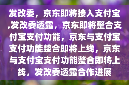 发改委，京东即将接入支付宝,发改委透露，京东即将整合支付宝支付功能，京东与支付宝支付功能整合即将上线，京东与支付宝支付功能整合即将上线，发改委透露合作进展