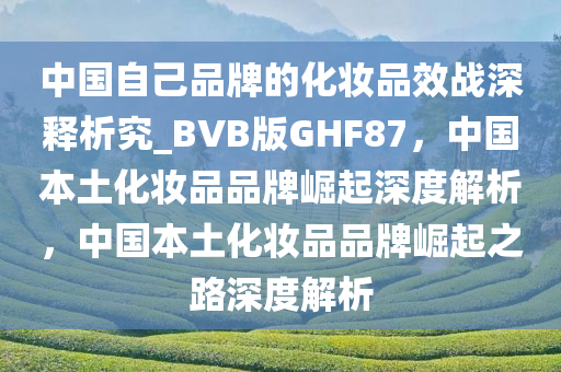 中国化妆品