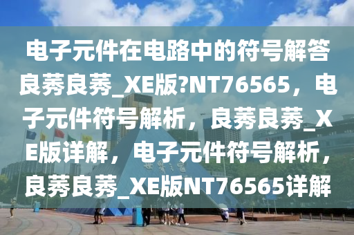 电子元件在电路中的符号解答良莠良莠_XE版?NT76565，电子元件符号解析，良莠良莠_XE版详解，电子元件符号解析，良莠良莠_XE版NT76565详解