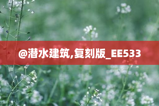 @潜水建筑,复刻版_EE533