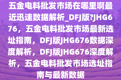 五金电料批发市场在哪里啊最近迅速数据解析_DFJ版?JHG676，五金电料批发市场最新选址指南，DFJ版JHG676数据深度解析，DFJ版JHG676深度解析，五金电料批发市场选址指南与最新数据
