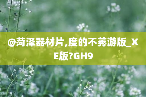 GH9 第6页