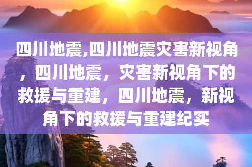 四川地震,四川地震灾害新视角，四川地震，灾害新视角下的救援与重建，四川地震，新视角下的救援与重建纪实