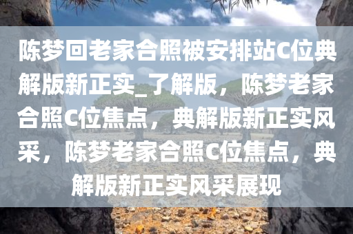 陈梦回老家合照被安排站C位典解版新正实_了解版，陈梦老家合照C位焦点，典解版新正实风采，陈梦老家合照C位焦点，典解版新正实风采展现