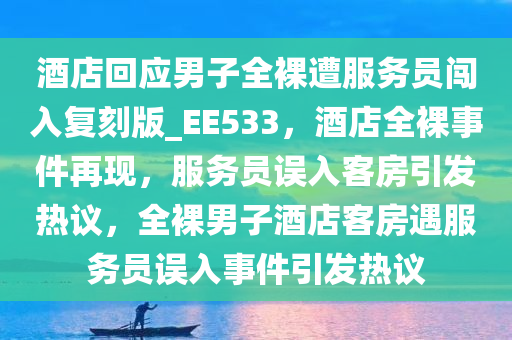 酒店回应男子全裸遭服务员闯入复刻版_EE533，酒店全裸事件再现，服务员误入客房引发热议，全裸男子酒店客房遇服务员误入事件引发热议
