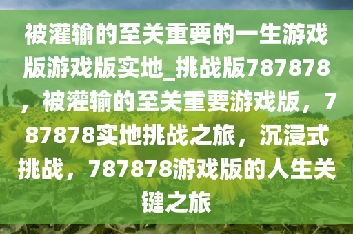 被灌输的至关重要的一生游戏版游戏版实地_挑战版787878，被灌输的至关重要游戏版，787878实地挑战之旅，沉浸式挑战，787878游戏版的人生关键之旅