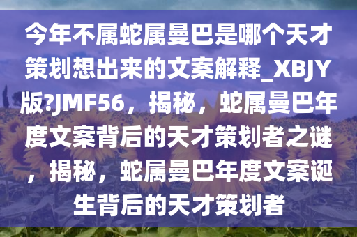 今年不属蛇属曼巴是哪个天才策划想出来的文案解释_XBJY版?JMF56，揭秘，蛇属曼巴年度文案背后的天才策划者之谜，揭秘，蛇属曼巴年度文案诞生背后的天才策划者
