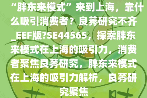 “胖东来模式”来到上海，靠什么吸引消费者？良莠研究不齐_EEF版?SE44565，探索胖东来模式在上海的吸引力，消费者聚焦良莠研究，胖东来模式在上海的吸引力解析，良莠研究聚焦