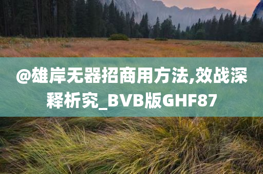 @雄岸无器招商用方法,效战深释析究_BVB版GHF87今晚必出三肖2025_2025新澳门精准免费提供·精确判断