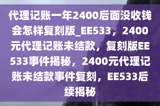 代理记账一年2400后面没收钱会怎样复刻版_EE533，2400元代理记账未结款，复刻版EE533事件揭秘，2400元代理记账未结款事件复刻，EE533后续揭秘