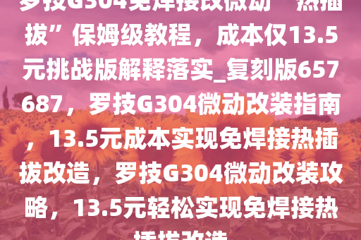 罗技G304免焊接改微动“热插拔”保姆级教程，成本仅13.5元挑战版解释落实_复刻版657687，罗技G304微动改装指南，13.5元成本实现免焊接热插拔改造，罗技G304微动改装攻略，13.5元轻松实现免焊接热插拔改造