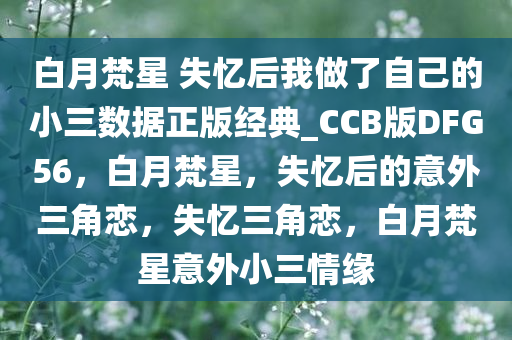 白月梵星 失忆后我做了自己的小三数据正版经典_CCB版DFG56，白月梵星，失忆后的意外三角恋，失忆三角恋，白月梵星意外小三情缘