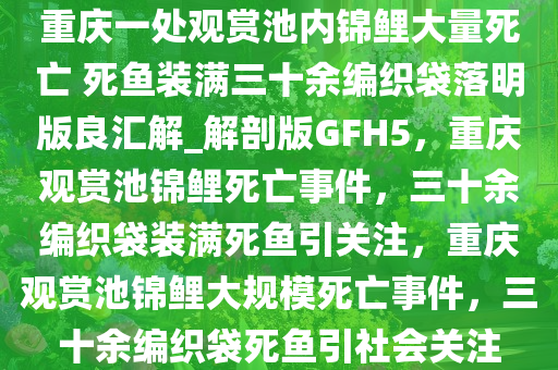 重庆一处观赏池内锦鲤大量死亡 死鱼装满三十余编织袋落明版良汇解_解剖版GFH5，重庆观赏池锦鲤死亡事件，三十余编织袋装满死鱼引关注，重庆观赏池锦鲤大规模死亡事件，三十余编织袋死鱼引社会关注
