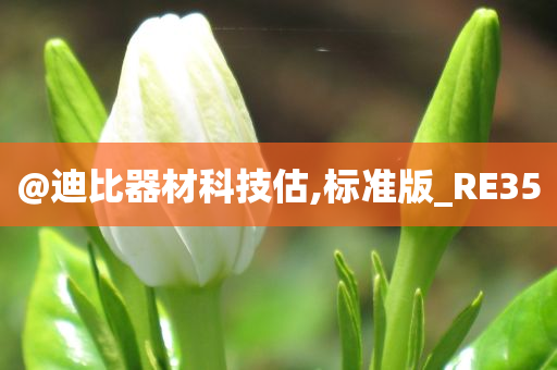 @迪比器材科技估,标准版_RE35