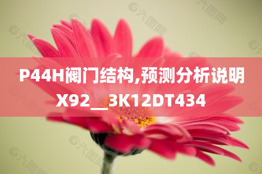 P44H阀门结构,预测分析说明X92__3K12DT434