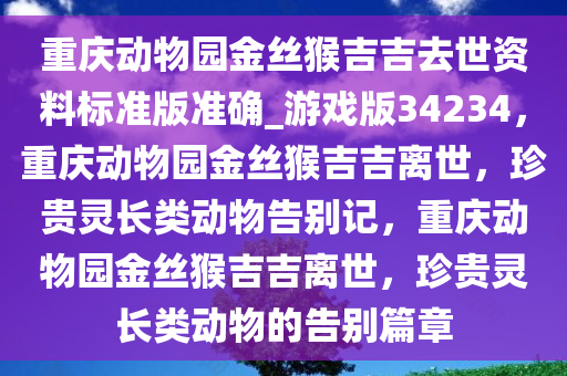 重庆动物园金丝猴吉吉去世资料标准版准确_游戏版34234，重庆动物园金丝猴吉吉离世，珍贵灵长类动物告别记，重庆动物园金丝猴吉吉离世，珍贵灵长类动物的告别篇章