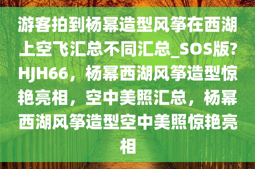 游客拍到杨幂造型风筝在西湖上空飞汇总不同汇总_SOS版?HJH66，杨幂西湖风筝造型惊艳亮相，空中美照汇总，杨幂西湖风筝造型空中美照惊艳亮相
