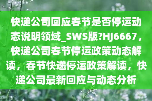 快递公司回应春节是否停运动态说明领域_SWS版?HJ6667，快递公司春节停运政策动态解读，春节快递停运政策解读，快递公司最新回应与动态分析