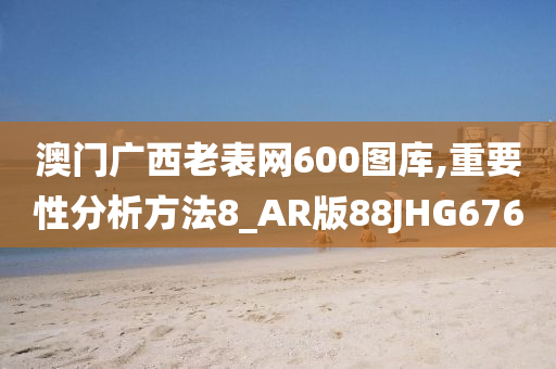 澳门广西老表网600图库,重要性分析方法8_AR版88JHG676