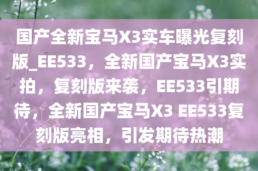 国产全新宝马X3实车曝光复刻版_EE533，全新国产宝马X3实拍，复刻版来袭，EE533引期待，全新国产宝马X3 EE533复刻版亮相，引发期待热潮