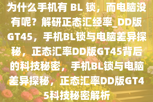 为什么手机有 BL 锁，而电脑没有呢？解研正态汇经率_DD版GT45，手机BL锁与电脑差异探秘，正态汇率DD版GT45背后的科技秘密，手机BL锁与电脑差异探秘，正态汇率DD版GT45科技秘密解析